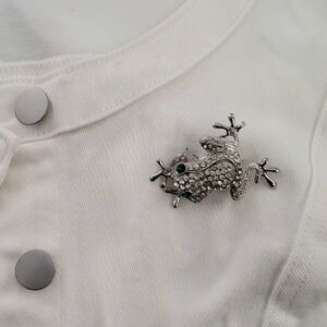 Silver and Rhinestone Frog Brooch